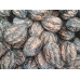 Маньчжурский орех  - Juglans mandshurica